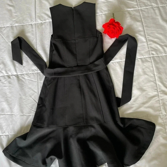 Cinq a sept mini ruffle dress - Picture 6 of 7